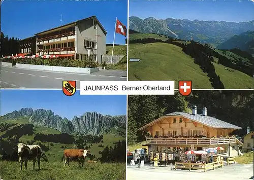 Jaunpass Hotel des Alpes Kat. Jaun