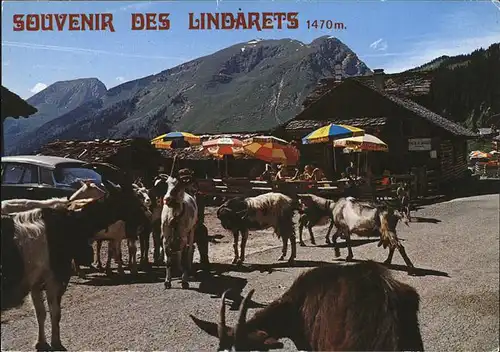 Morzine Les Lindarets Kat. Morzine