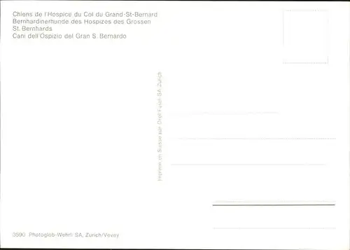 Grand St Bernard Hospizes u.Berhardinerhund Kat. Bernard Grand Saint
