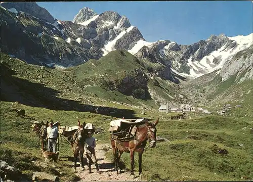 Appenzell IR Megisalp mit Trageseln Kat. Appenzell