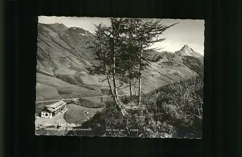 Dornbirn Vorarlberg Alpengasthof Adler am Tannbergpass Kat. Dornbirn