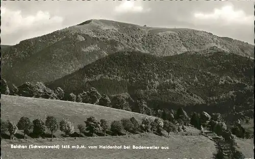 Badenweiler Belchen Blick vom Haldenhof Kat. Badenweiler