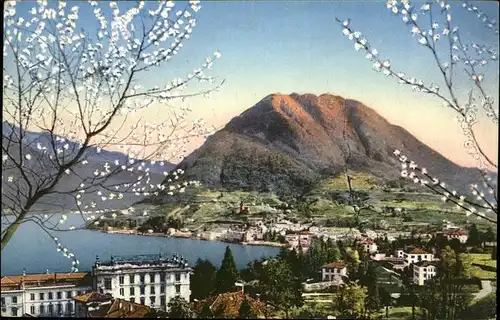 Lugano TI Panorama Monte San Salvatore Lago Baumbluete Kat. Lugano