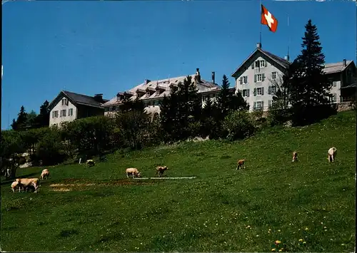 Weissenstein SO Hotel Kurhaus Viehweide Kuehe Schweizer Flagge Kat. Weissenstein Solothurn