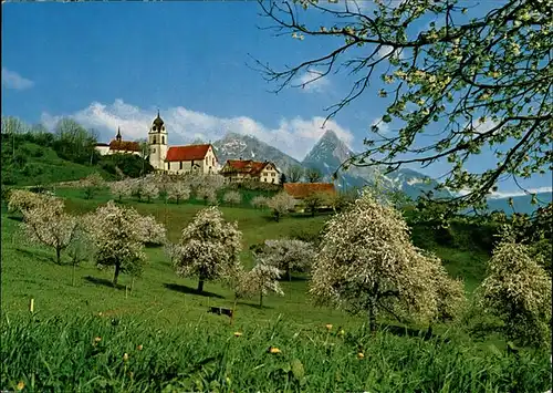 Steinerberg am Rossberg Kirche Baumbluete Mythen Kat. Steinerberg