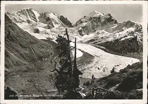 Pontresina Piz Bernina und Roseg mit Tschiervagletscher Kat. Pontresina