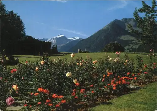 Gstaad Oldenhorn und Staldenflueh im Sommer Kat. Gstaad