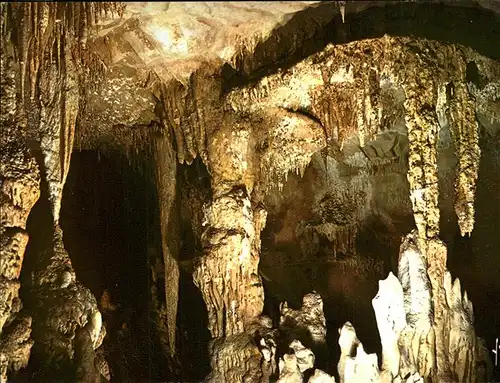 Hoehlen Caves Grottes Cabrerets Grotte du pech merle Kat. Berge