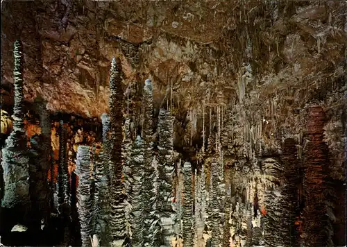 Hoehlen Caves Grottes L Aven Armand Foret Vierge Kat. Berge