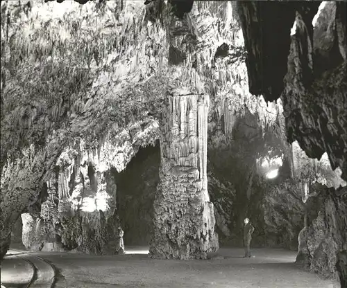 Hoehlen Caves Grottes Postojnska Jama Slovenija Jugoslavija Kat. Berge