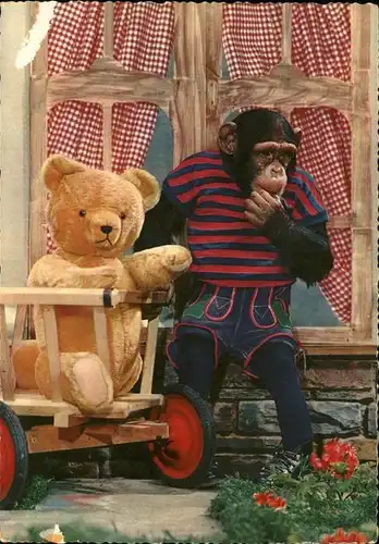 Teddy Teddybaer Teddy bear Affe  Kat. Kinderspielzeug