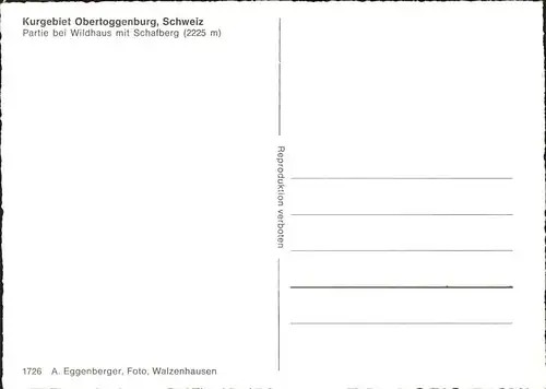 Kuehe Obertoggenburg Wildhaus Schafberg  Kat. Tiere