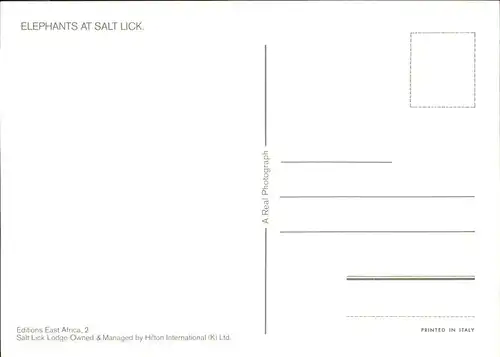 Elefant Salt Lick Afrika Kat. Tiere