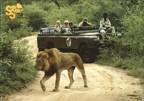 Loewe Sabi Sabi Private Game Reserve Kat. Tiere