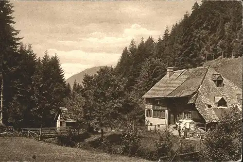 Hoellental Schwarzwald Bauernhaus Kat. Buchenbach