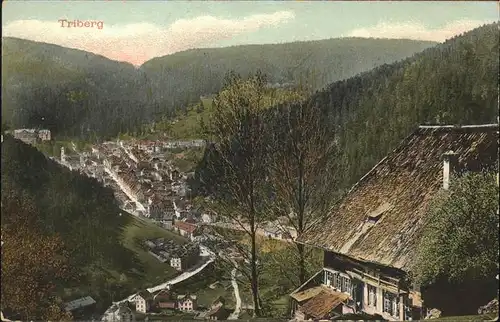 Triberg Schwarzwald  Kat. Triberg im Schwarzwald