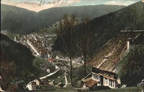 Triberg Schwarzwald  Kat. Triberg im Schwarzwald