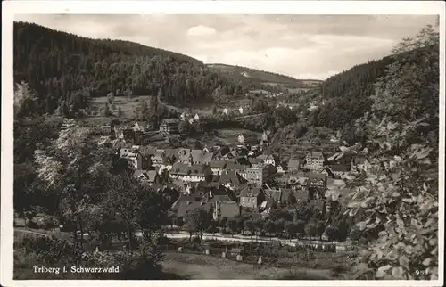 Triberg Schwarzwald  Kat. Triberg im Schwarzwald