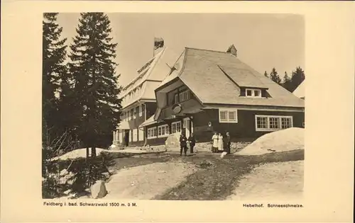 Feldberg Schwarzwald Hebelhof Schneeschmelze Kat. Feldberg (Schwarzwald)