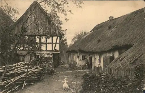 Bautzen Gans Heimatschutz Postkarte Kat. Bautzen