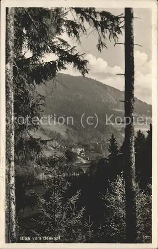 Mengersgereuth Haemmern Blick vom Saukopf Kat. Mengersgereuth Haemmern