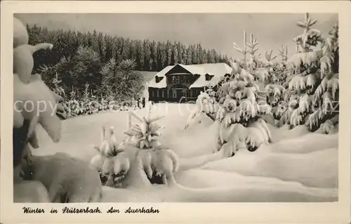 Stuetzerbach Winter am Auerhahn Kat. Stuetzerbach