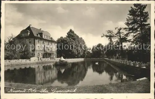 Neustadt Orla Am Gamsenteich Kat. Neustadt Orla