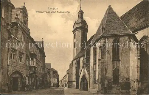 Torgau Wintergruene und Stadtkirche Kat. Torgau