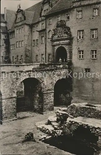 Torgau Baerenfreigehege Schloss Hartenfels Kat. Torgau