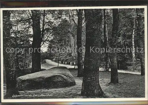 Bad Dueben Partie am Lutherstein Naturpark Duebener Heide Kat. Bad Dueben