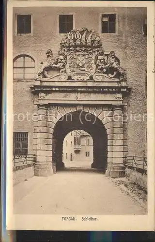 Torgau Schlosstor Schloss Hartenfels Relief Kat. Torgau