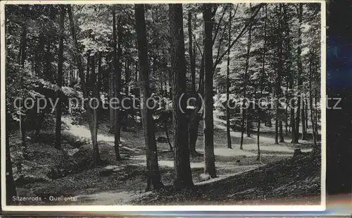 Sitzenroda Quellental Dahlen Belgerner Heide Kat. Schildau Gneisenaustadt