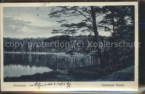 Schmannewitz Partie am Waldteich Naturpark Dahlener Heide Kat. Dahlen Sachsen