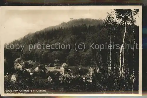 Collm Ortsansicht mit Collmberg Aussichtsturm Kat. Wermsdorf