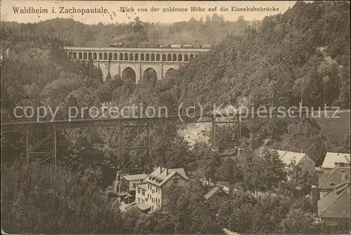 Waldheim Sachsen Blick auf die Eisenbahnbruecke Kat. Waldheim Sachsen