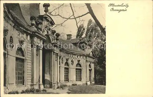 Meuselwitz Orangerie im Schlossgarten Kat. Meuselwitz Thueringen