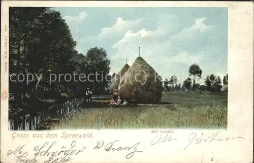 Lehde Wiesen Idyll Heuschober Wasserstrasse Kat. Luebbenau