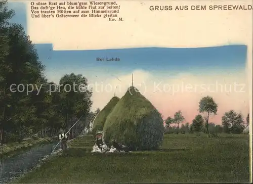 Lehde Wiesen Idyll Heuschober Wasserstrasse Kaupe Gedicht Kat. Luebbenau