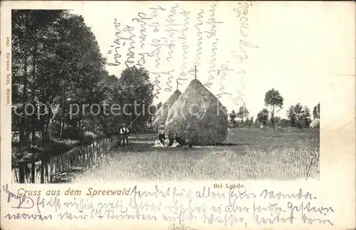 Lehde Wiesen Idylle Heuschober Kanal Wasserstrasse Kat. Luebbenau