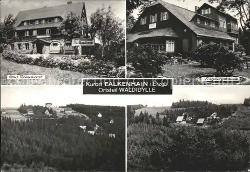 Falkenhain Altenberg Erzgebirge Haus Falkenhorst Erzgebirgsbaude Teilansichten Kat. Altenberg