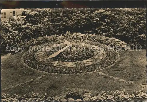 Hainichen Sachsen Blumenuhr im Stadtpark Kat. Hainichen Sachsen