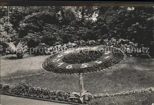 Hainichen Sachsen Blumenuhr im Stadtpark Kat. Hainichen Sachsen