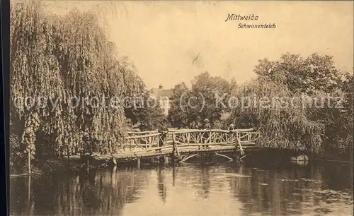 Mittweida Schwanenteich Bruecke Kat. Mittweida