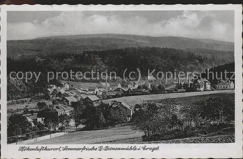 Rechenberg Bienenmuehle Osterzgebirge Panorama Kat. Rechenberg Bienenmuehle