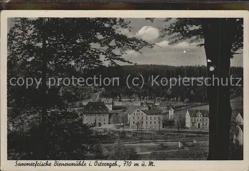 Rechenberg Bienenmuehle Osterzgebirge Ortsansicht Kat. Rechenberg Bienenmuehle