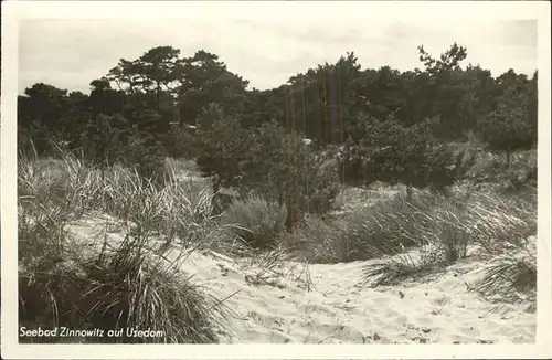 Zinnowitz Ostseebad Usedom Duenen Kat. Zinnowitz