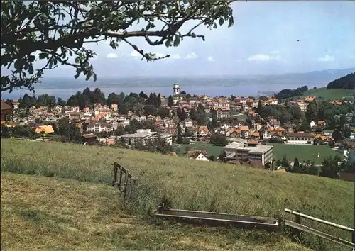 Heiden AR Panorama Klimakurort Bodensee / Heiden /Bz. Vorderland