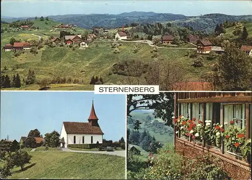 Sternenberg ZH Panorama Kirche Kat. Sternenberg