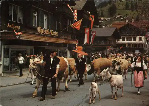 Lenk Simmental Alpaufzug Kuh Ziege Viehtrieb Kat. Lenk Simmental