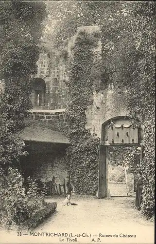 Montrichard Ruines du Chateau Le Tivoli Kat. Montrichard